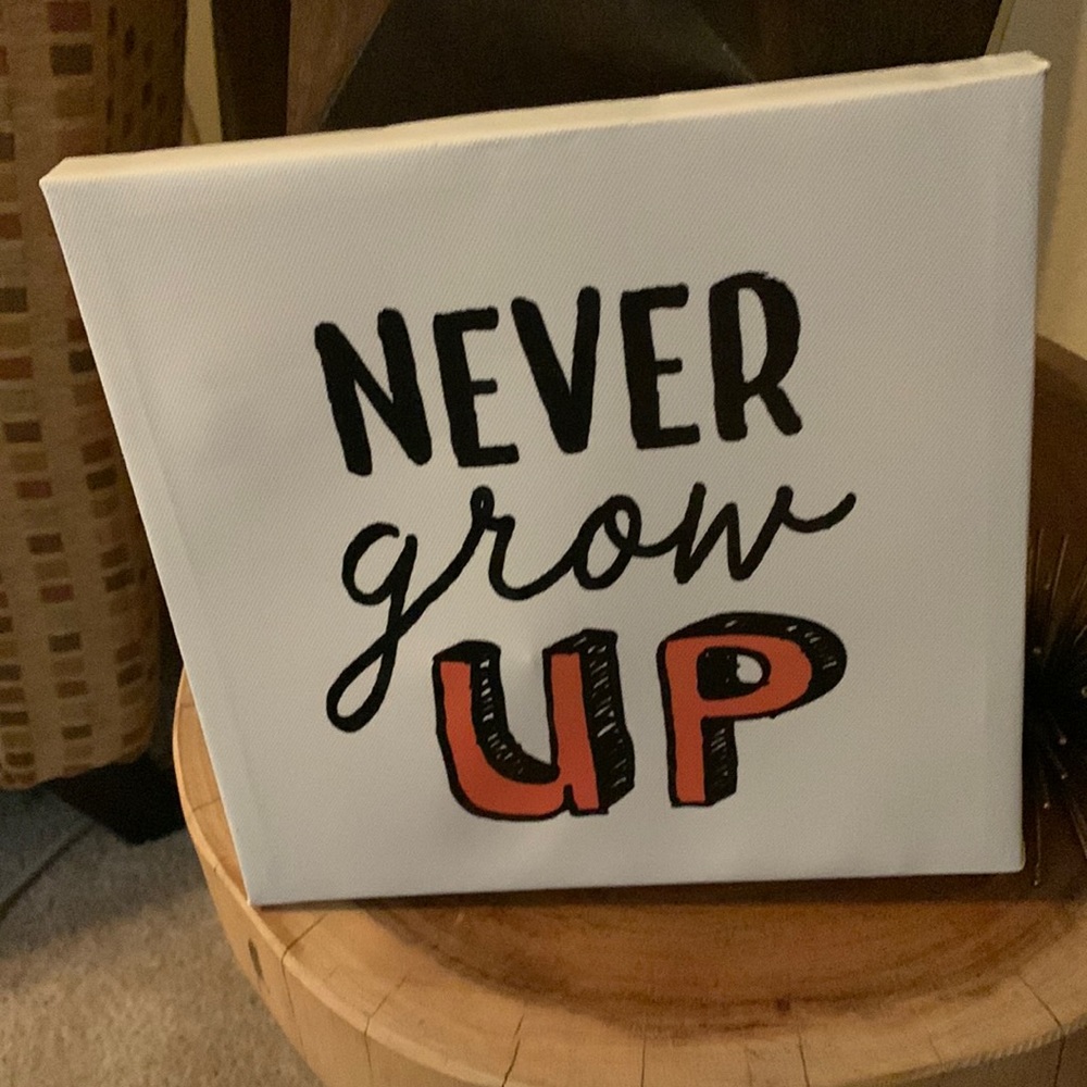 3 for $15 CANVAS “NEVER GROW UP” super cute